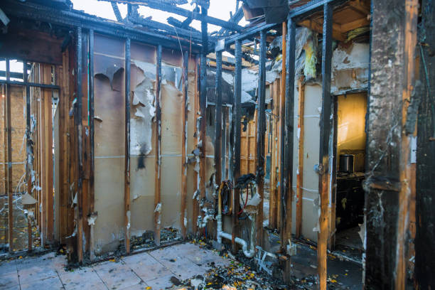 Professional Fire Damage Assessment technician working in Central City, NE